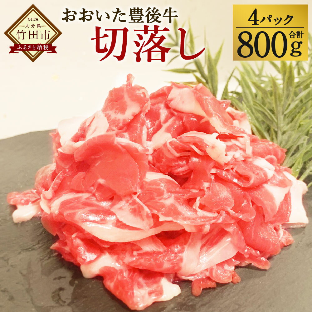 おおいた豊後牛 切落し 800g 小分けパック 小分け (200g×4パック) お肉 牛肉 和牛 切り落とし 冷凍 九州産 国産 送料無料