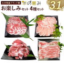 【ふるさと納税】大分県産ブランド豚 米の恵み お楽しみセット 計3.1kg 4種セット 豚肉 ぶた肉 肉 ロース バラ 肩ロース 小間切れ スライス 薄切り肉 九州 大分県 国産 お肉 冷凍 送料無料