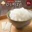 【ふるさと納税】令和4年度産 大分県産 ひとめぼれ 10kg 5kg×2 精米 米 お米 白米 精米 九州産 送料無料 11,000円