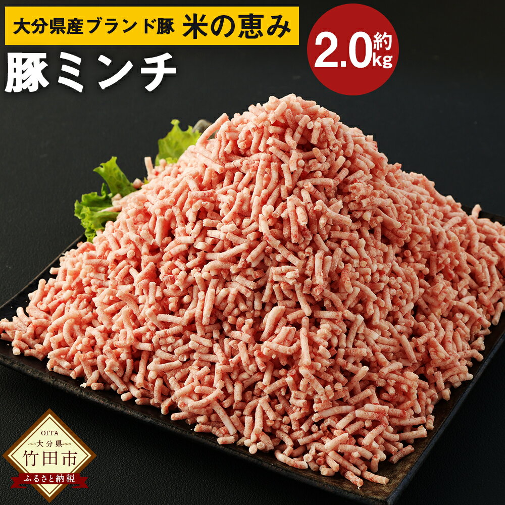 【ふるさと納税】大分県産ブランド豚「米の恵み」ミンチ 2kg 500g×4袋 豚肉 ポーク 豚ミンチ ひき肉 挽肉 挽き肉 そぼろ つくね ミートボール 国産 九州産 冷凍 大分県 竹田市 送料無料 1