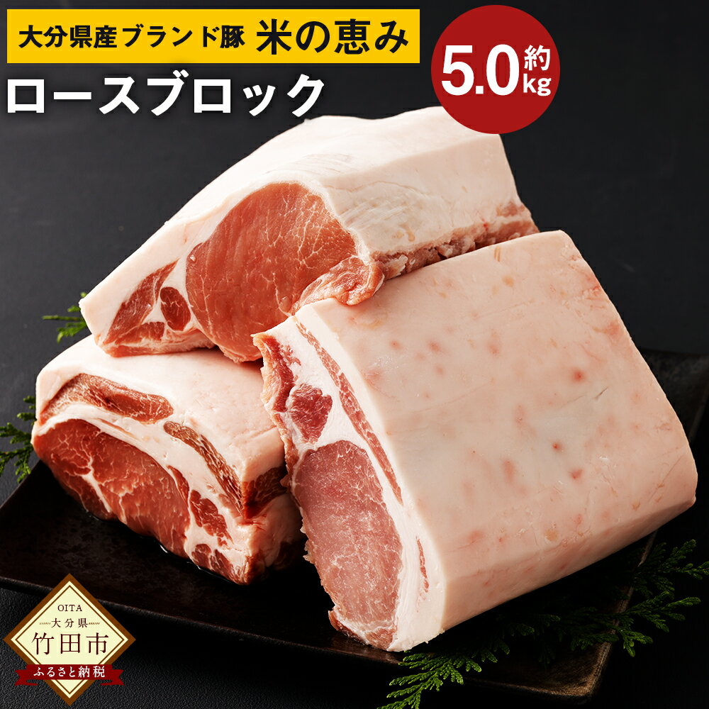 【ふるさと納税】大分県産 ブランド豚「米の恵み」ロース ブロック 5.0kg 2.5kg×2 肉 豚 豚肉 国産 と..