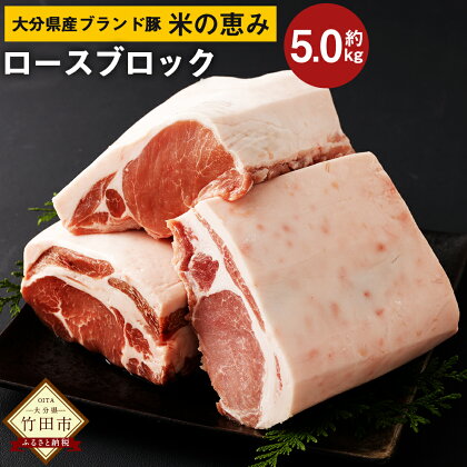 大分県産 ブランド豚「米の恵み」ロース ブロック 5.0kg 2.5kg×2 肉 豚 豚肉 国産 とんかつ トンテキ ブロック肉 かたまり 塊 かたまり肉 BBQ キャンプ 冷凍 大分県 竹田市 送料無料