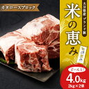 【ふるさと納税】大分県産 ブランド豚「米の恵み」カタロース ブロック 4.0kg 2.0kg×2 肉 豚 豚肉 国産 とんかつ トンテキ 肩ロース ブロック肉 かたまり 塊 かたまり肉 BBQ キャンプ 冷凍 大分県 竹田市 送料無料 2