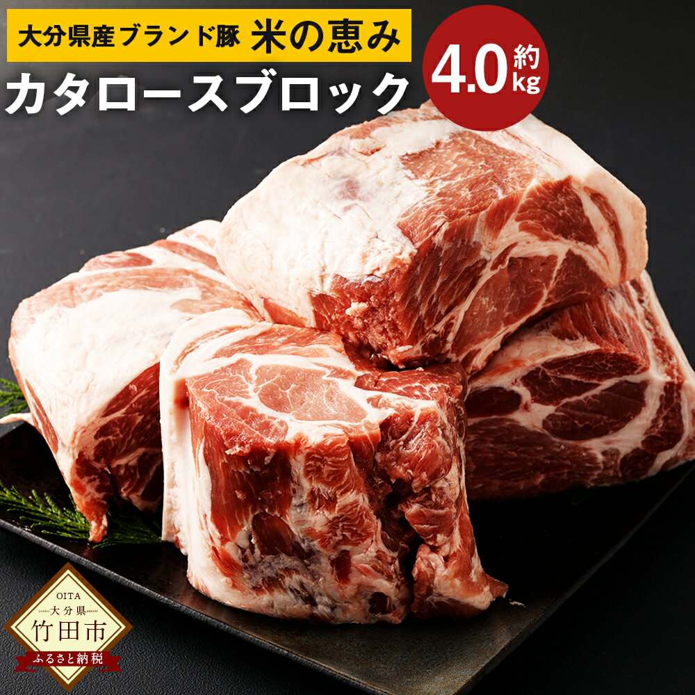 【ふるさと納税】大分県産 ブランド豚 米の恵み カタロース ブロック 4.0kg 2.0kg 2 肉 豚 豚肉 国産 とんかつ トンテキ 肩ロース ブロック肉 かたまり 塊 かたまり肉 BBQ キャンプ 冷凍 大分…