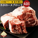 【ふるさと納税】大分県産 ブランド豚「米の恵み」カタロース ブロック 4.0kg 2.0kg×2 肉 豚 豚肉 国産 とんかつ トンテキ 肩ロース ブロック肉 かたまり 塊 かたまり肉 BBQ キャンプ 冷凍 大分県 竹田市 送料無料