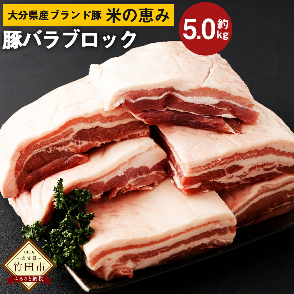 17位! 口コミ数「0件」評価「0」大分県産ブランド豚「米の恵み」バラ肉 ブロック 5.0kg 2.5kg×2 肉 豚 豚肉 国産 角煮 チャーシュー 豚バラ ブロック肉 かた･･･ 