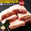 16位! 口コミ数「0件」評価「0」大分県産ブランド豚「米の恵み」バラ肉 ブロック 5.0kg 2.5kg×2 肉 豚 豚肉 国産 角煮 チャーシュー 豚バラ ブロック肉 かた･･･ 