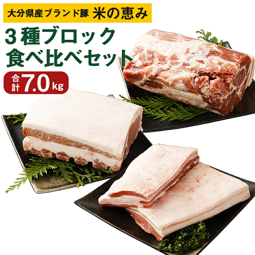 大分県産ブランド豚「米の恵み」3種ブロック 食べ比べセット 合計7.0kg 肉 豚 豚肉 国産 定期便 ロース 肩ロース ブロック ブロック肉 かたまり 塊 かたまり肉 角煮 チャーシュー とんかつ トンテキ BBQ キャンプ 冷凍 大分県 竹田市 送料無料