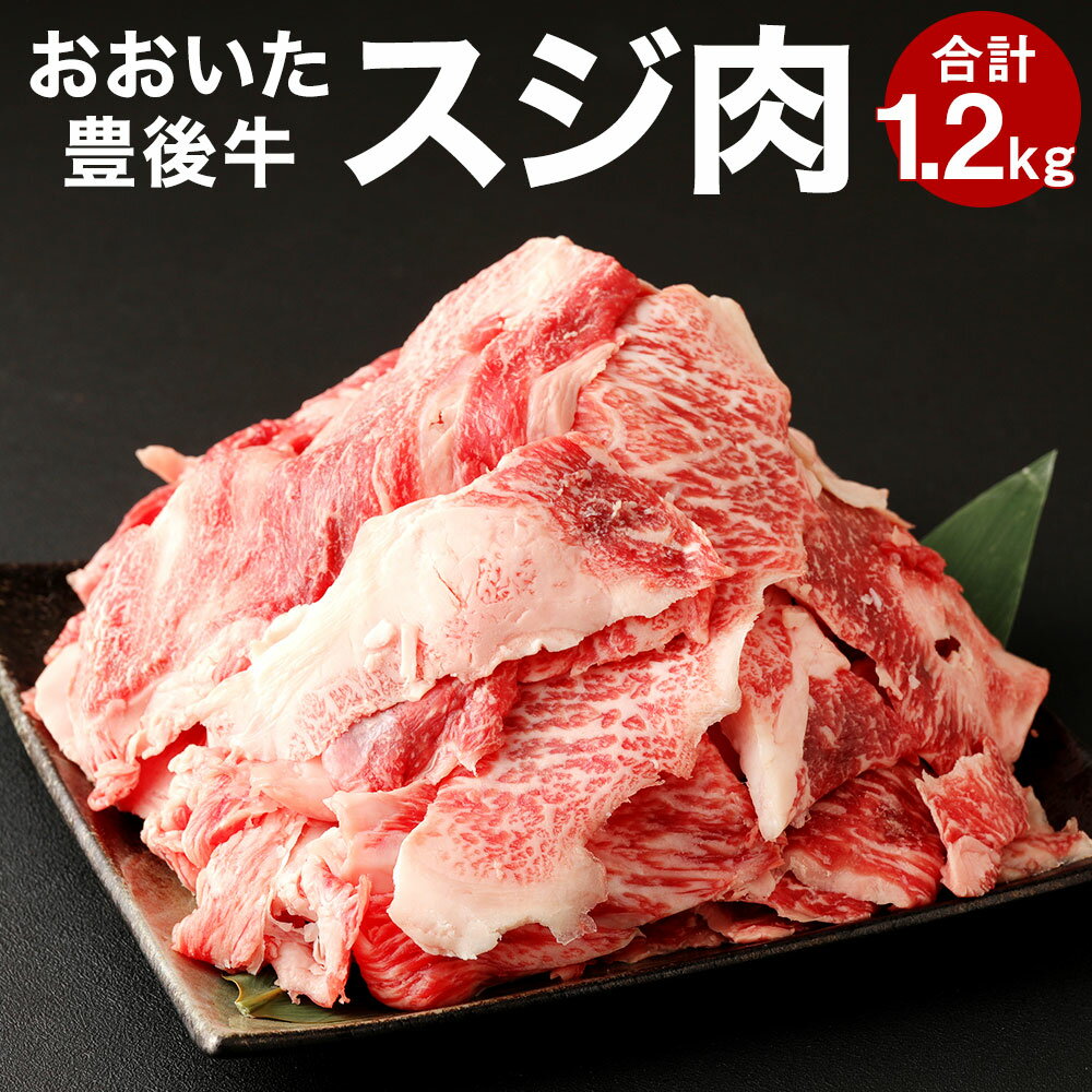 【ふるさと納税】おおいた 豊後牛 スジ肉 1.2kg 400g 3パック 肉 牛 和牛 豊後牛 銘柄牛 国産牛 黒毛和種 黒毛和牛 和牛 牛すじ 冷凍 国産 九州産 竹田市 大分県産 送料無料