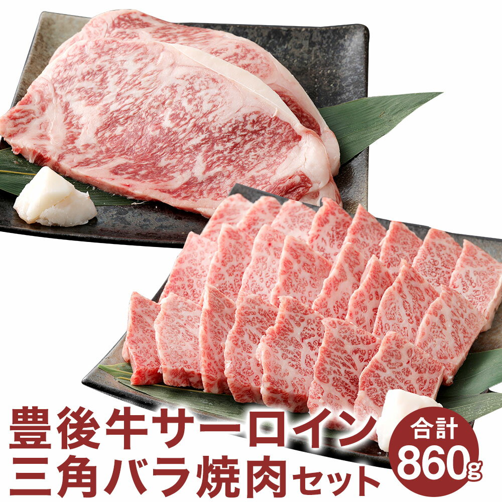 豊後牛 焼肉 セット サーロイン ステーキ 360g 三角バラ 500g 合計860g 肉 牛 和牛 豊後牛 銘柄牛 国産牛 黒毛和種 黒毛和牛 和牛 冷凍 国産 九州産 竹田市 大分県産 送料無料