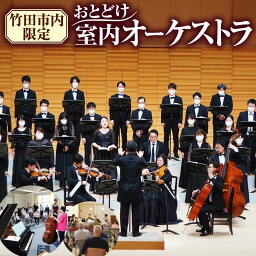 【ふるさと納税】竹田市内限定 TAKETA室内オーケストラ九州 おとどけ コンサート 演奏会 プロオーケストラ 出張オーケストラ 室内オーケストラ 生演奏 音楽 コンサート サプライズ プレゼント 結婚 結婚ソング お祝い 大分県 竹田市