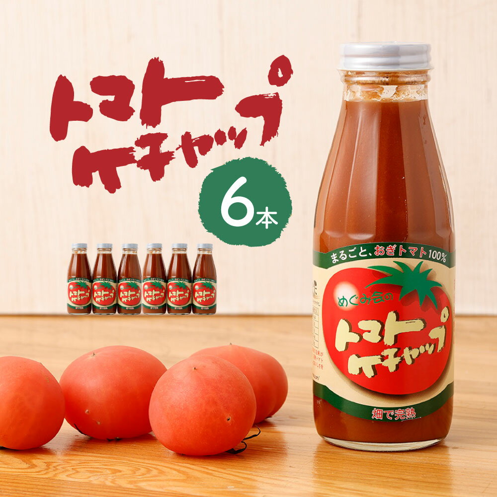 調味料(ケチャップ)人気ランク41位　口コミ数「0件」評価「0」「【ふるさと納税】トマトケチャップ 6本セット (385g×6本) 完熟トマト100% トマト ケチャップ 6本 ご当地 調味料 手作り ソース パスタ 竹田市 大分県 めぐみ会 エムナイン 送料無料」