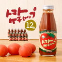 調味料(ケチャップ)人気ランク11位　口コミ数「0件」評価「0」「【ふるさと納税】トマトケチャップ 12本セット (385g×12本) 完熟トマト100% トマト ケチャップ 12本 ご当地 調味料 手作り ソース パスタ 竹田市 大分県 めぐみ会 エムナイン 送料無料」