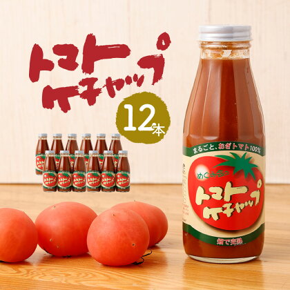 トマトケチャップ 12本セット (385g×12本) 完熟トマト100% トマト ケチャップ 12本 ご当地 調味料 手作り ソース パスタ 竹田市 大分県 めぐみ会 エムナイン 送料無料