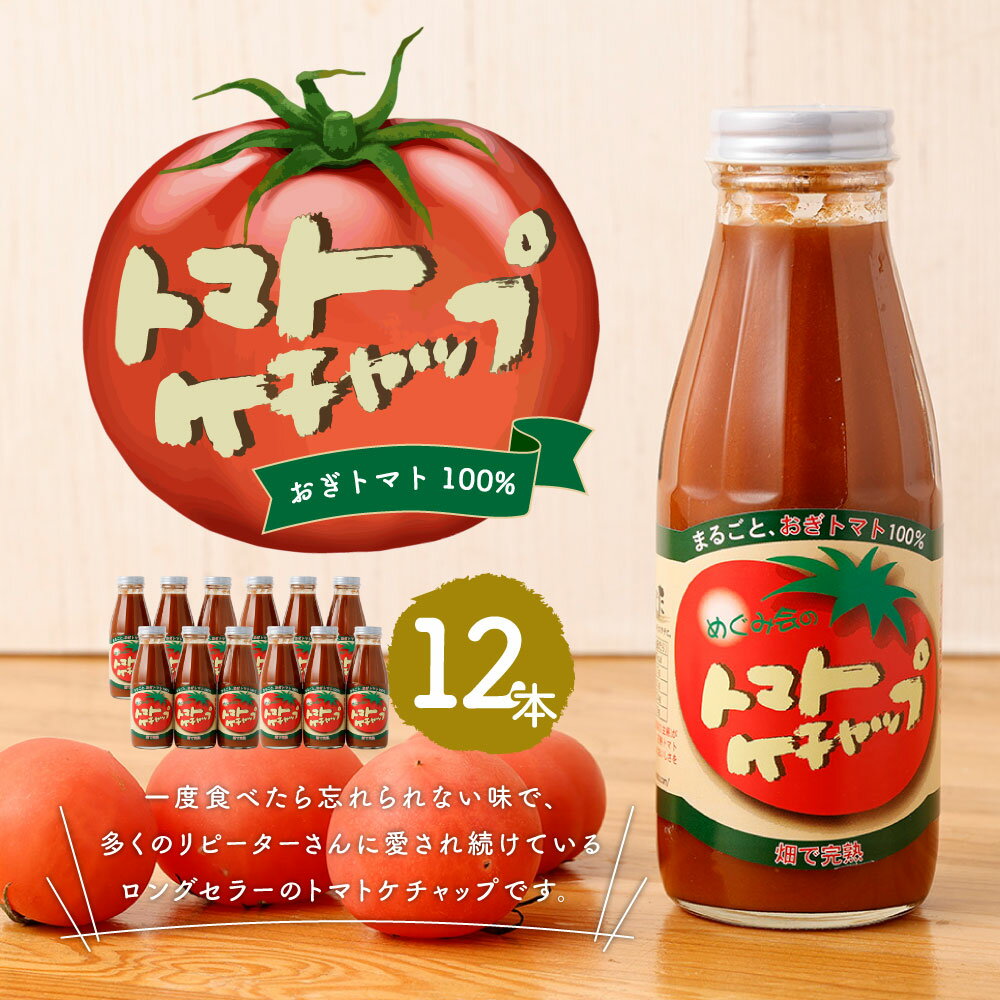 【ふるさと納税】トマトケチャップ 12本セット (385g×12本) 完熟トマト100% トマト ケチャップ 12本 ご当地 調味料 手作り ソース パスタ 竹田市 大分県 めぐみ会 エムナイン 送料無料