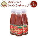 【ふるさと納税】トマトケチャップ 3本セット (385g×3本)完熟トマト100% トマト ケチャップ 3本 ご当地 調味料 手作り ソース パスタ 竹田市 大分県 めぐみ会 エムナイン 送料無料