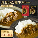 【ふるさと納税】百年の恵み おおいた和牛カレー 赤と黒セット