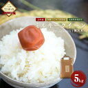 【ふるさと納税】30年産 ミルキークイーン 無洗米 5kg ...