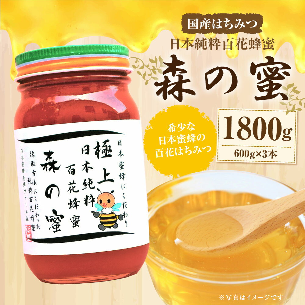 【ふるさと納税】【国産はちみつ】日本純粋百花蜂蜜「森の蜜」 600g×3本 計1800g 化粧箱入り はちみつ ハチミツ ハニー 国産蜂蜜 国産ハチミツ 国産はちみつ 瓶詰 純粋はちみつ 純粋ハチミツ 大分県 九州 百花蜜 送料無料