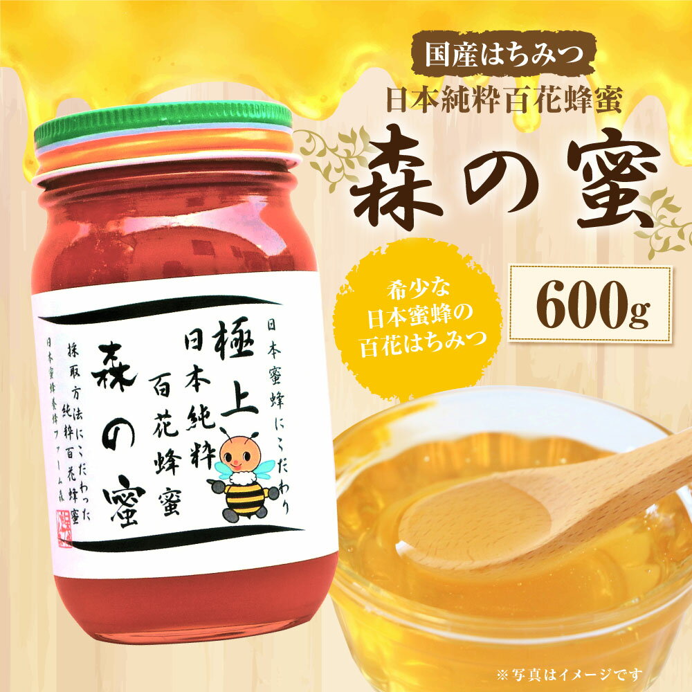 【ふるさと納税】【国産はちみつ】日本純粋百花蜂蜜「森の蜜」 600g×1本 化粧箱入り はちみつ ハチミツ ハニー 国産蜂蜜 国産ハチミツ 国産はちみつ 瓶詰 純粋はちみつ 純粋ハチミツ 大分県 九州 百花蜜 送料無料