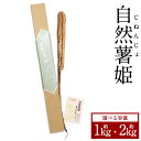 【ふるさと納税】自然薯姫 約1kg 約2kg 山芋 自然薯 じねんじょ やまいも ヤマイモ 野菜 無農薬 芋 九州 常温 国産 大分 大分県産 大分県 竹田市 送料無料 【発送不可期間:毎年4月下旬~11月上旬】