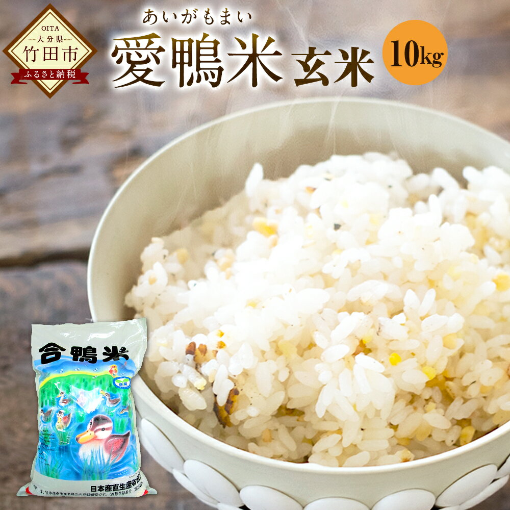 【ふるさと納税】令和5年産 愛鴨米 玄米 10kg 送料無料 ナツホノカ うるち玄米 祖母山 一番水 大分県産