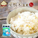 令和5年産 愛鴨米 玄米 5kg 送料無料 ナツホノカ うるち玄米 祖母山 一番水 大分県産