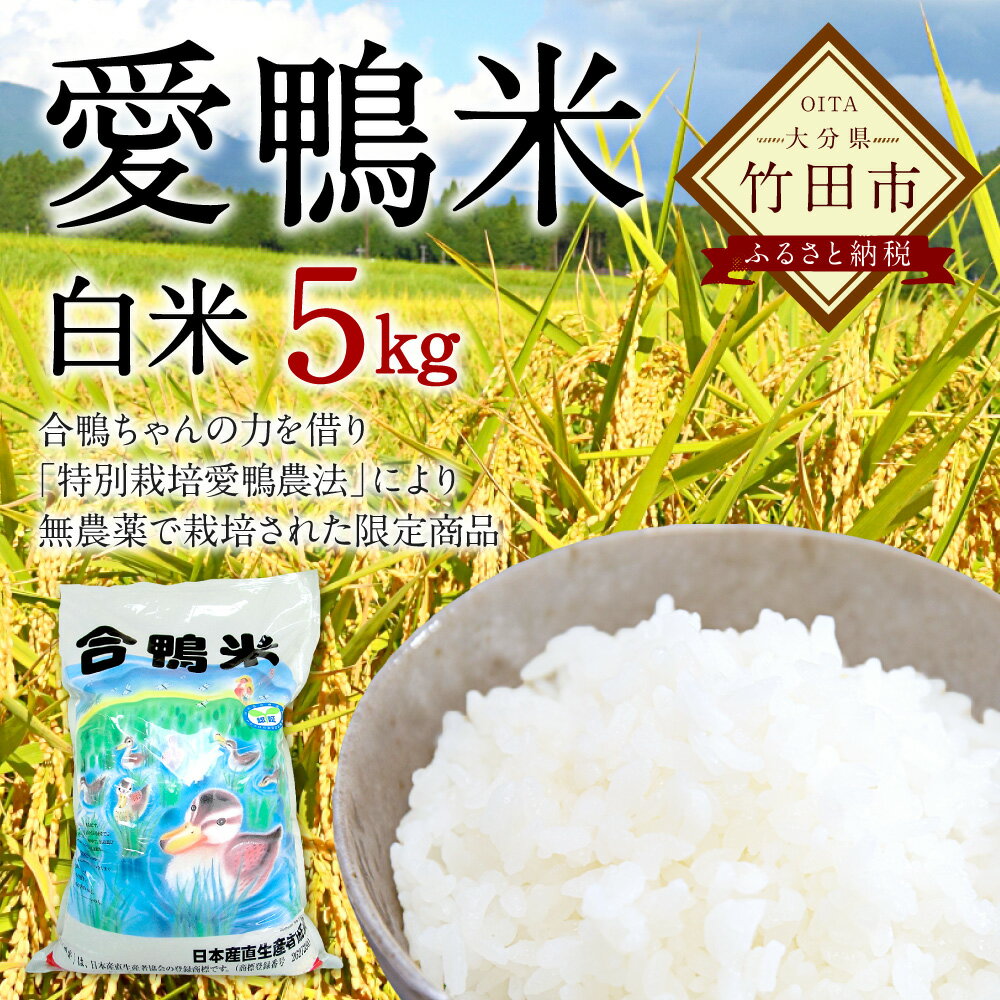 【ふるさと納税】数量限定 愛鴨米 白米 5kg 30年度産 特A米 送料無料 無農薬 ヒノヒカリ うるち精米 祖母山 ミネラル 天然地下水 大分県産