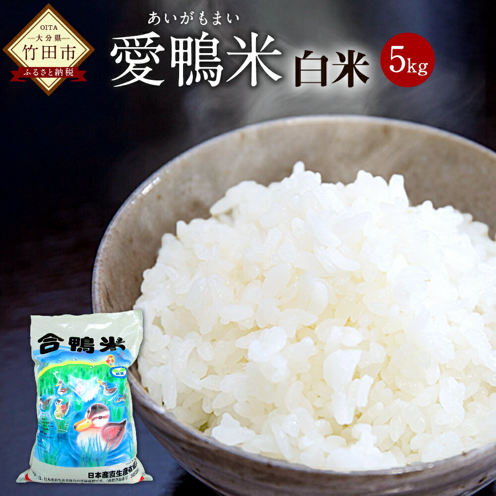 【ふるさと納税】令和2年産 愛鴨米 白米 5kg 特A米 送料無料 無農薬 ヒノヒカ...