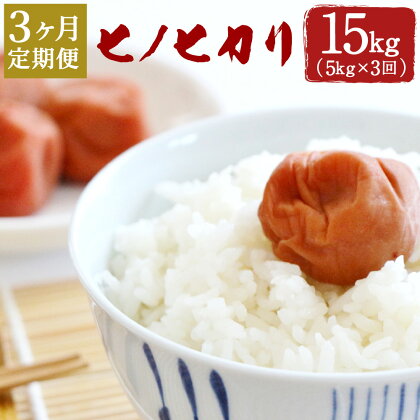 【定期便3ヶ月】ヒノヒカリ 5kg×3ヶ月 合計15kg 大分県産 ひのひかり 精米 米 国産 九州産 送料無料