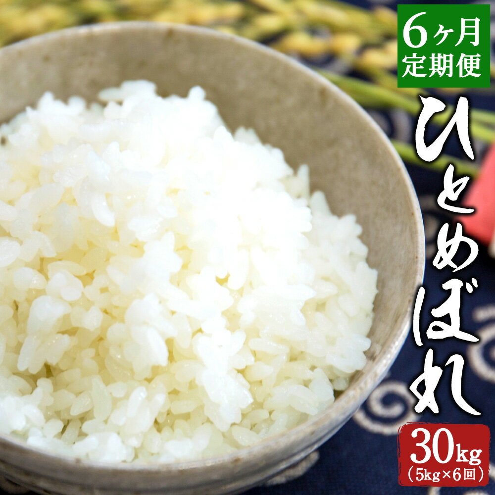 人気ランキング第56位「大分県竹田市」口コミ数「0件」評価「0」【定期便6ヶ月】ひとめぼれ 5kg×6ヶ月 合計30kg 大分県産 精米 米 国産 九州産 送料無料