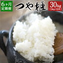 人気ランキング第16位「大分県竹田市」口コミ数「0件」評価「0」【定期便6ヶ月】つや姫 5kg×6ヶ月 合計30kg 大分県産 つやひめ 精米 米 国産 九州産 送料無料