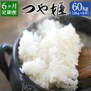 【ふるさと納税】【定期便6ヶ月】つや姫 10kg 6ヶ月 合計60kg 大分県産 つやひめ 精米 米 国産 九州産 送料無料