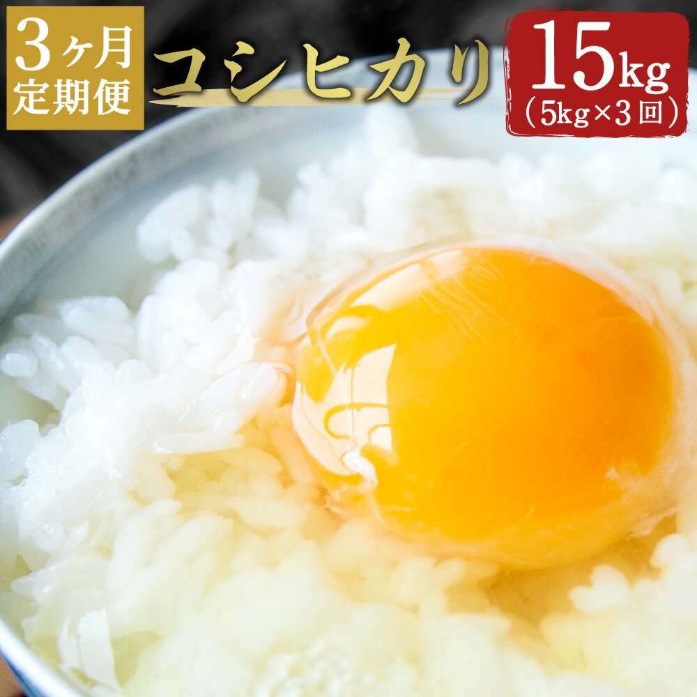 【ふるさと納税】＜ 定期便3ヶ月 ＞ コシヒカリ 5kg×3ヶ月 合計15kg 大分...