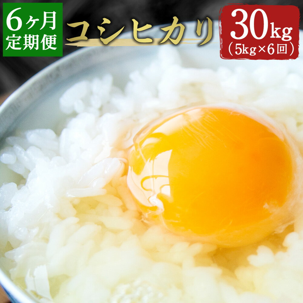 1位! 口コミ数「0件」評価「0」＜ 定期便6ヶ月 ＞ コシヒカリ 5kg×6ヶ月 合計30kg こしひかり 精米 米 国産 九州産 大分県産 竹田市産 送料無料