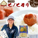 【ふるさと納税】〈選べる容量〉令和7年産 ヒノヒカリ 5kg/10kg 大分県産 ひのひかり 精米 米 国産 九州産 送料無料【2025年11月下旬発送開始予定...
