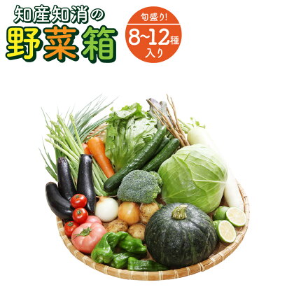 旬盛り! 知産知消の『野菜箱』【6〜10種】