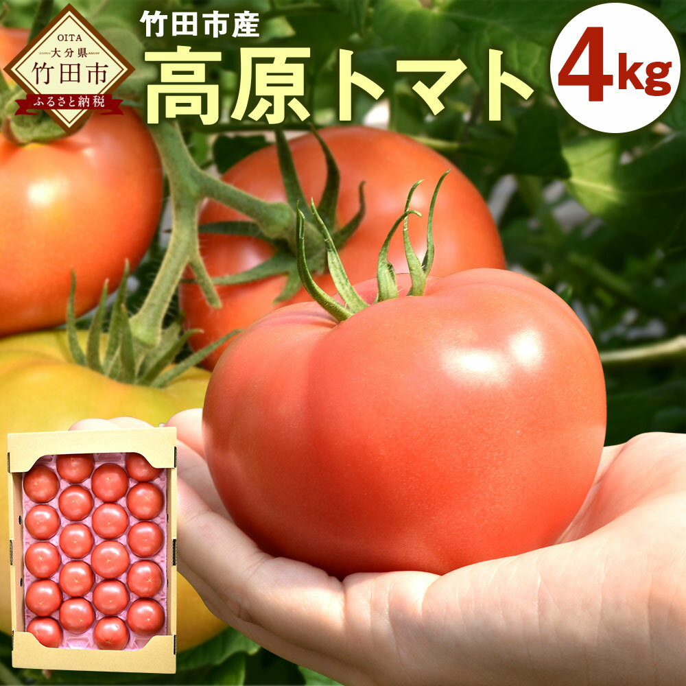 竹田市産 高原トマト 4kg 約16〜24個 トマト とまと 野菜 竹田市 大分県 送料無料[2024年5月下旬から順次発送予定]