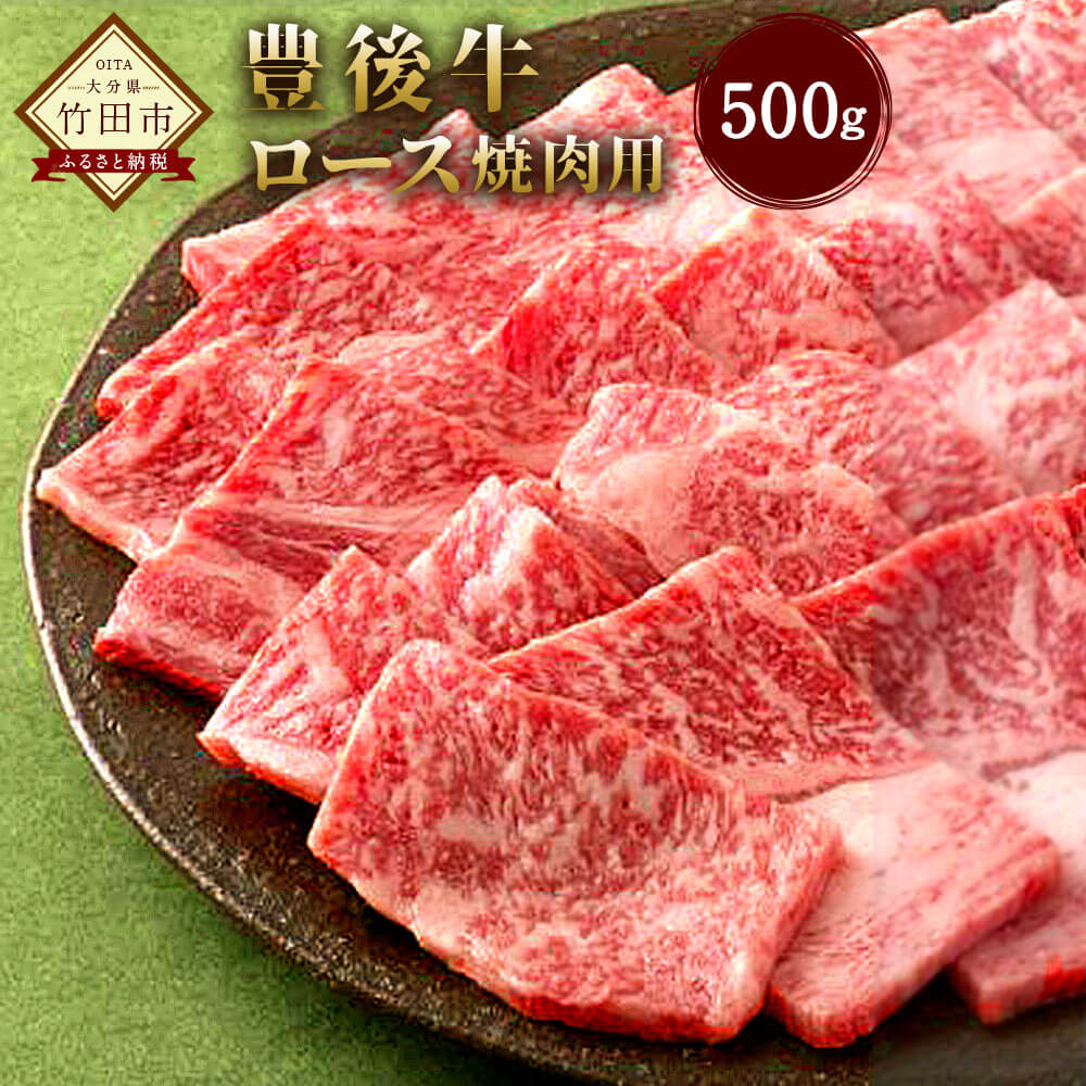 数量限定 大分県竹田産 おおいた和牛　ロース 焼肉用 500g 和牛日本一！ 牛肉 和牛 九州産 国産 冷凍 送料無料