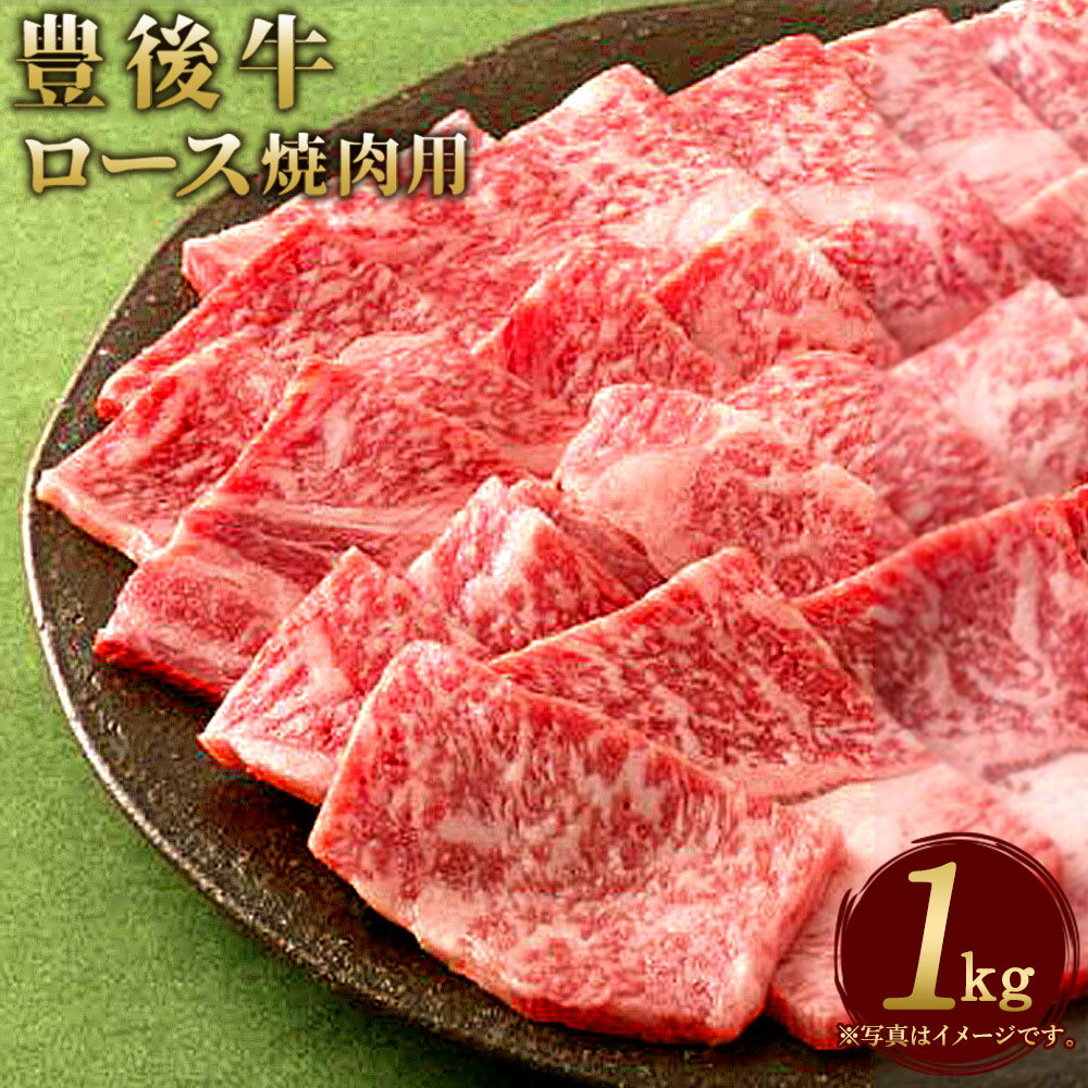 数量限定 大分県竹田産 おおいた和牛 ロース 焼肉用 1kg 和牛日本一！ 牛肉 和牛 九州産 国産 冷凍 送料無料