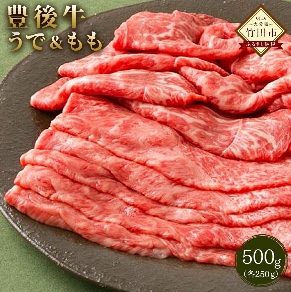 数量限定 大分県竹田産 おおいた和牛 うで&もも すき焼き用 500g 和牛日本一! 牛肉 和牛ウデ肉 もも肉 九州産 国産 冷凍 送料無料