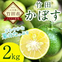 【ふるさと納税】数量限定 さわやかな果汁たっぷり 竹田かぼす...