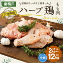 大分県竹田市の画像3