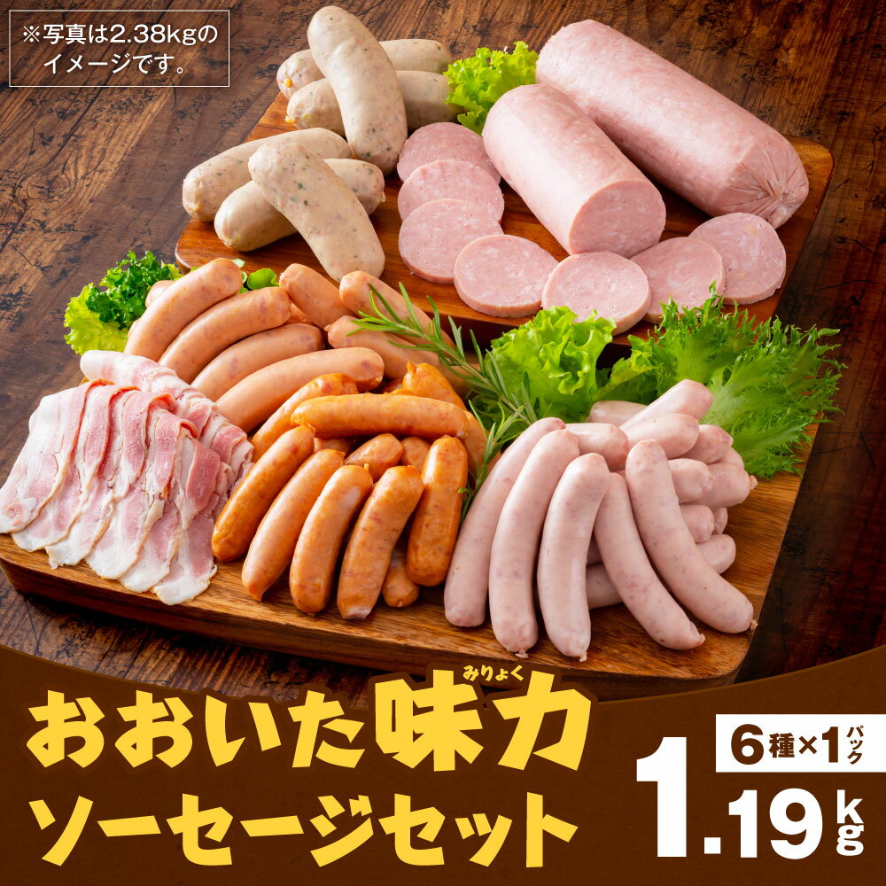 【ふるさと納税】おおいた味力 ソーセージセット 計1.19kg 6種 6パック 詰め合わせ 詰合せ バラエティーセット 地域産品 ソーセージ ウインナー ボローニャ フランクフルト ベーコン 粗挽き 加工品 加工肉 冷凍 九州産 送料無料