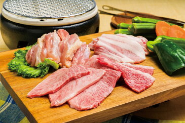 【ふるさと納税】黒毛和牛 A5 A4 おおいた和牛 豚バラ 鶏もも 焼肉 セット 合計 550g