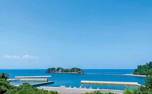 【ふるさと納税】海浜 旅庵 しおじ 1泊2食 宿泊券 岩盤ドーム + リンパトリートメント 岩盤浴 ドームサウナ 大分県その2