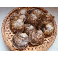 【ふるさと納税】豊後高田産イタボガキ
