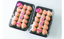 【ふるさと納税】【先行予約】白いちご「淡雪」・2パック入×1...