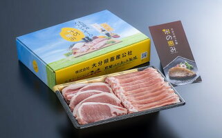 【ふるさと納税】【合計1kg】中川さんちの米の恵み豚ローススライス500g、ローストンカツ5枚(約500g)セット