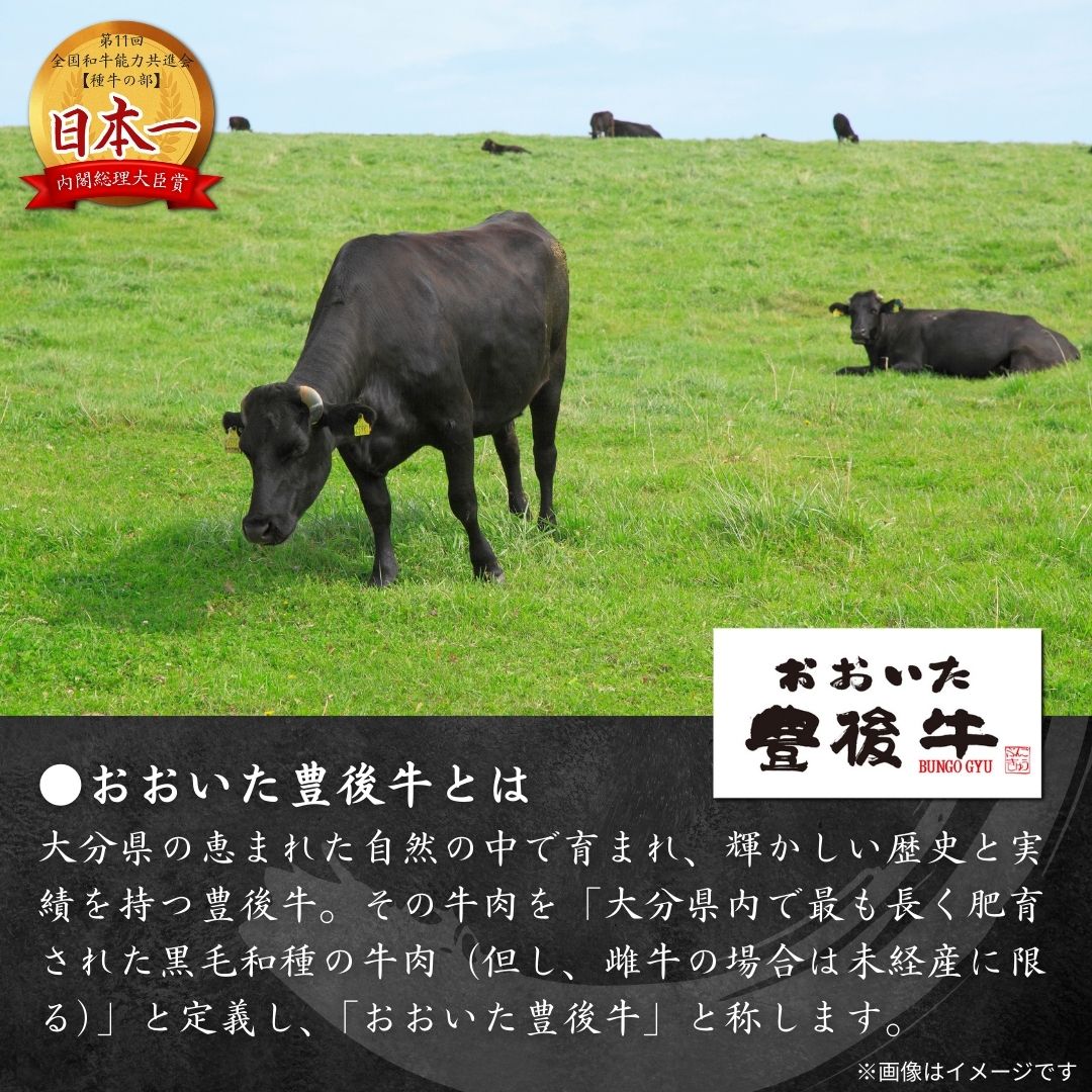 【ふるさと納税】おおいた和牛切り落とし(200g×4P）和牛 黒毛和牛 豊後牛 牛肉 切り落とし 小分け f442097-bungotakada-10001290 大分県豊後高田市 サンプル画像2